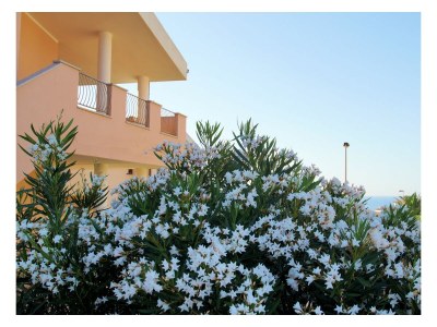 Holiday apartment Residence Solevacanze Type L plus - Outdoor photo 3