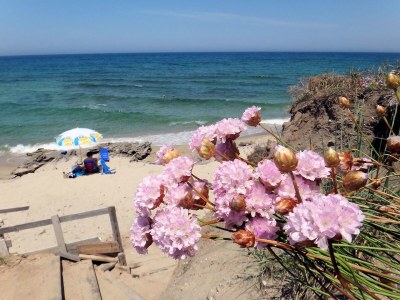 Holiday apartment Residence Solevacanze Type L plus - Environment photo 11