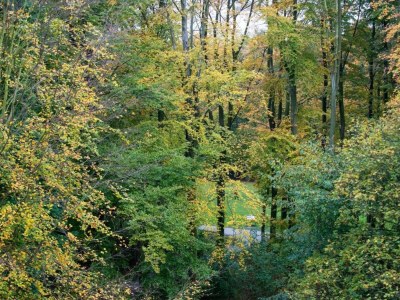Apartment Duplex apartment in The Hague - Environment photo 33
