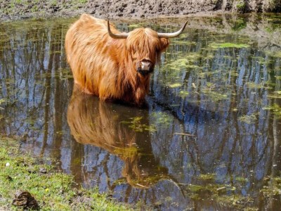 Apartment Duplex apartment in The Hague - Environment photo 34