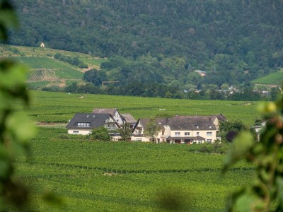 Apartment "Klosterlay" - Outdoor photo 9