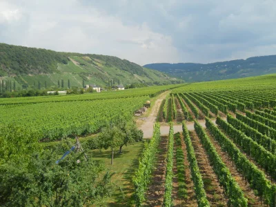 Apartment "Klosterlay" - Environment photo 23