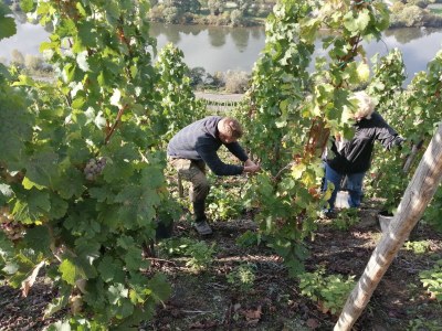 Apartment "Klosterlay" - Environment photo 29