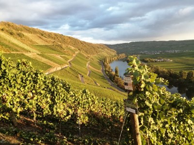 Apartment "Klosterlay" - Environment photo 30