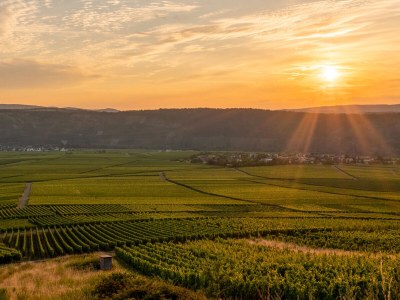Apartment "Klosterlay" - Environment photo 31