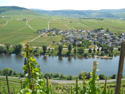 Holiday apartment "Spätburgunder" - Outdoor photo 3