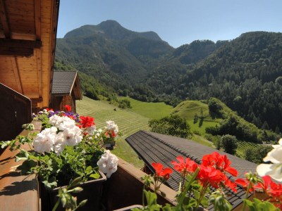 Farmhouse Oberpatiglhof - Outdoor photo 2