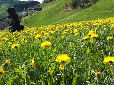 Farmhouse Oberpatiglhof - Outdoor photo 6