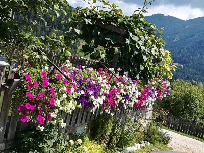 Farmhouse Oberpatiglhof - Outdoor photo 11