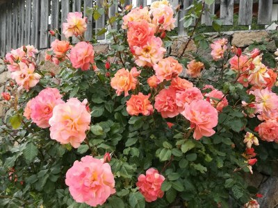 Farmhouse Oberpatiglhof - Outdoor photo 13