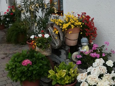 Farmhouse Oberpatiglhof - Outdoor photo 17