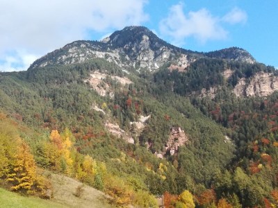 Farmhouse Oberpatiglhof - Outdoor photo 20