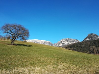 Farmhouse Oberpatiglhof - Environment photo 31