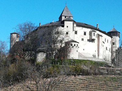 Farmhouse Oberpatiglhof - Environment photo 32