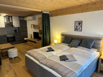 Apartment Wohnung in Saalfelden nahe Skipisten - Features photo 8