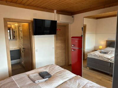 Apartment Double room in Saalfelden near Ski Slopes - Features photo 12