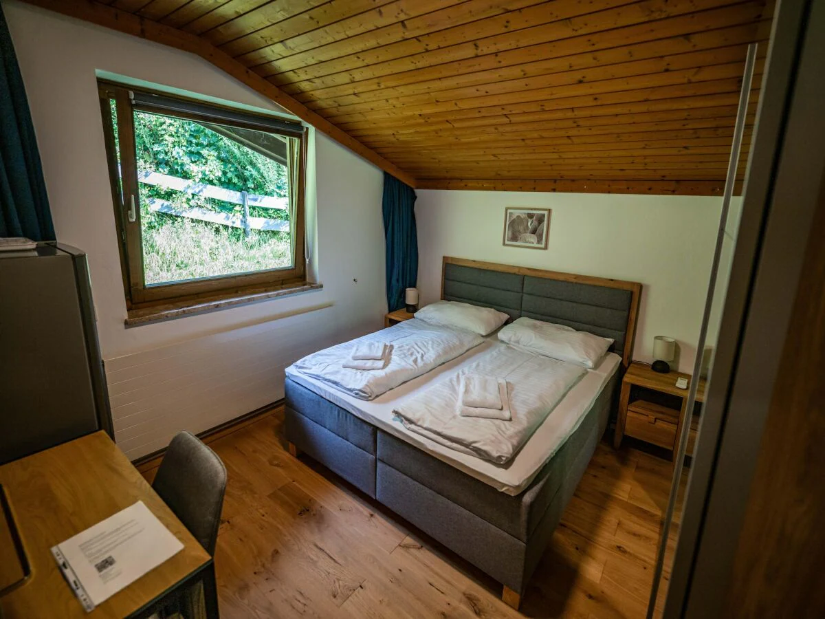Apartment Doppelzimmer in Saalfelden am Steinernen Meer - Features photo 5