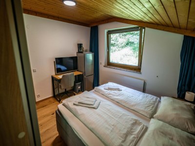 Apartment Doppelzimmer in Saalfelden am Steinernen Meer - Features photo 9