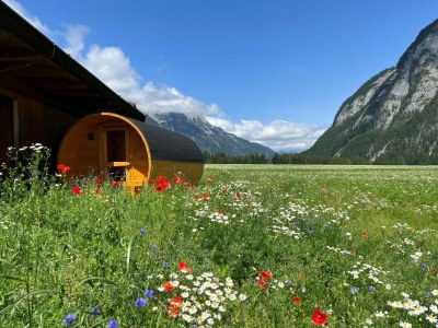 Holiday house Chalet Leutasch mit Loipe und Bergblick - Outdoor photo 17