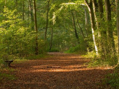 Apartment Geräumige Einzimmerwohnung in Delft - Environment photo 29