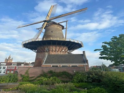 Apartment Geräumige Einzimmerwohnung in Delft - Environment photo 34
