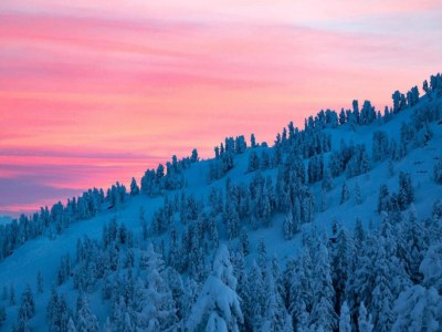 Apartment Premium Ferienwohnung mit 2 Schlafzimmern (ohne Kaution) - Environment photo 23