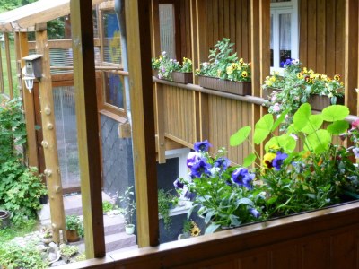 Holiday apartment Freienwohnung auf dem Weinberg - Outdoor photo 3