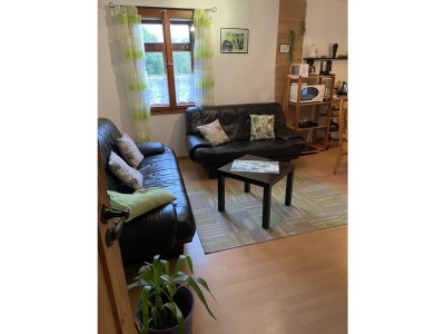 Holiday apartment Freienwohnung auf dem Weinberg - Features photo 7