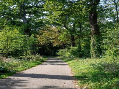 Apartment Delft Retreat w/ wifi - Environment photo 28