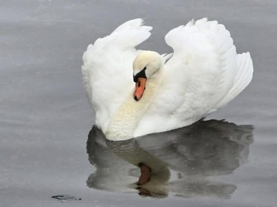 Apartment stilvolle 2-Zimmer-Wohnung in Delft. - Environment photo 35