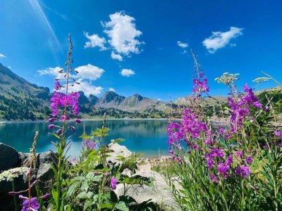 Apartment Apartment in France with Stunning Mountain Views - Environment photo 20