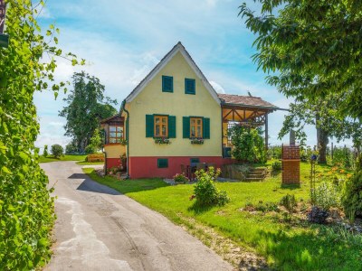 Holiday house Holiday Home in Styria near Thermal Spas - Outdoor photo 5