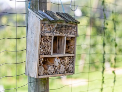 Holiday house Holiday Home in Styria near Thermal Spas - Outdoor photo 27