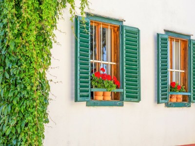 Holiday house Holiday Home in Styria near Thermal Spas - Outdoor photo 28