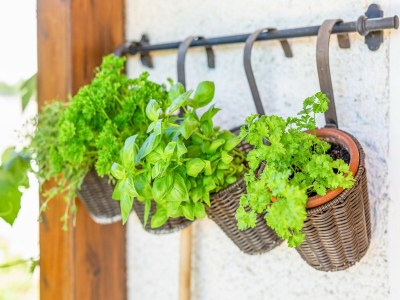 Holiday house Holiday Home in Styria near Thermal Spas - Outdoor photo 31