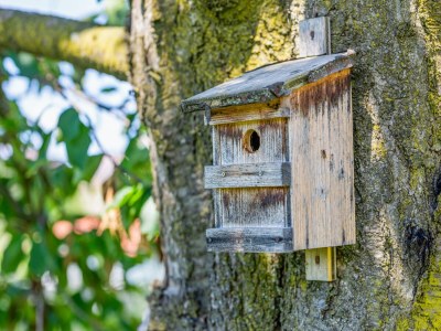 Holiday house Holiday Home in Styria near Thermal Spas - Outdoor photo 34