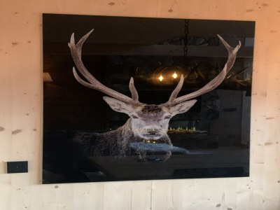 Chalet Chalet in Turrach with Sauna and Terrace - Outdoor photo 26