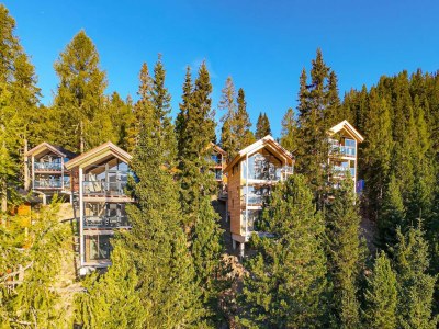 Chalet Chalet in Turrach near Ski Lift - Environment photo 18