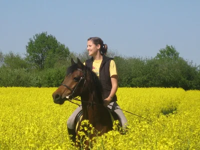 Holiday house near the Baltic Sea and River Schlei - Environment photo 29