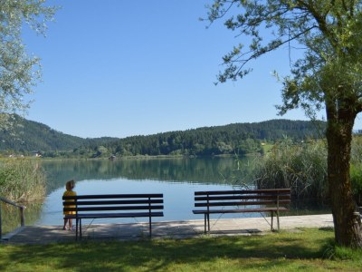 Holiday apartment 2 Dissinger - Environment photo 25