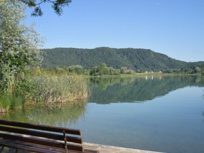 Holiday apartment 2 Dissinger - Environment photo 28