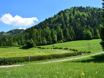 Holiday apartment 2 Dissinger - Environment photo 29