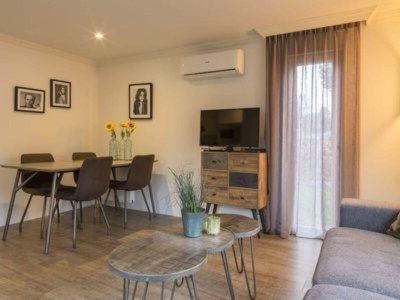 Holiday house Chalet in Niederlande mit Terrasse - Features photo 10