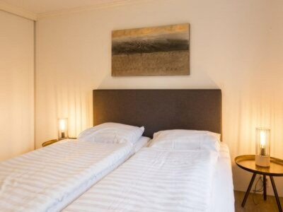 Holiday house Chalet in Niederlande mit Terrasse - Features photo 12