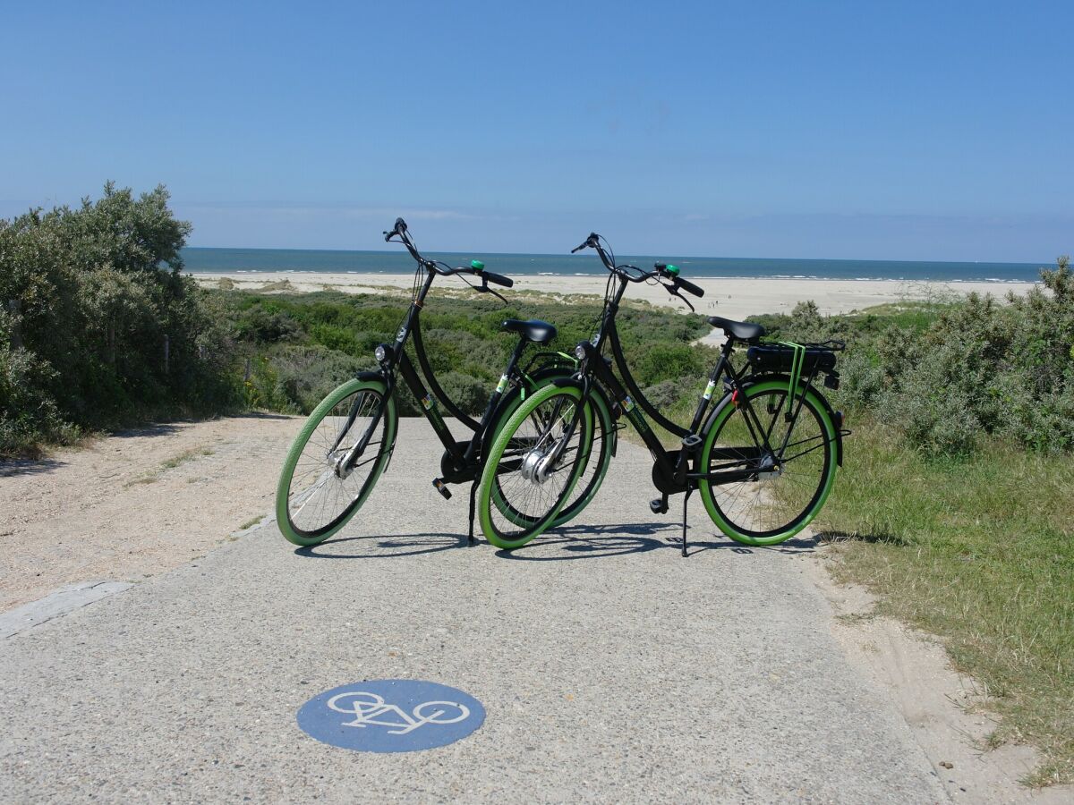 Holiday house Villa in Burgh-Haamstede with Garden - Outdoor photo 4