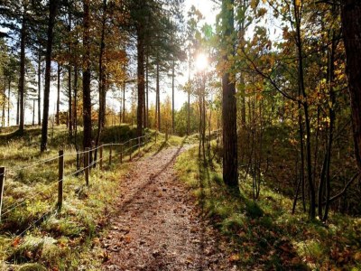 Holiday house Villa in Burgh-Haamstede with Garden - Environment photo 28