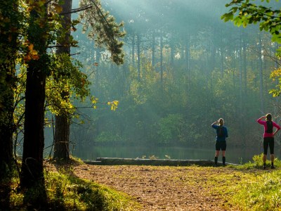 Holiday house Villa in Burgh-Haamstede with Garden - Environment photo 31