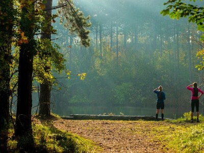 Holiday house Villa in Burgh-Haamstede with Garden - Environment photo 32