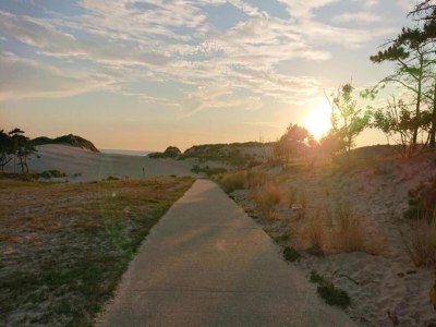 Holiday house Villa in Burgh-Haamstede with Garden - Environment photo 39