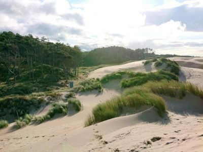 Holiday house Villa in Burgh-Haamstede with Garden - Environment photo 41